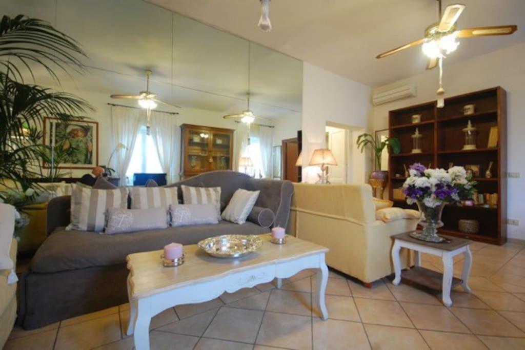 Domus - Luxury New Opening Apartment